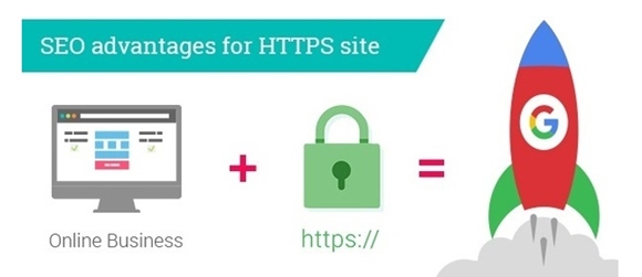 HTTP vs HTTPS 차이 SEO 품질