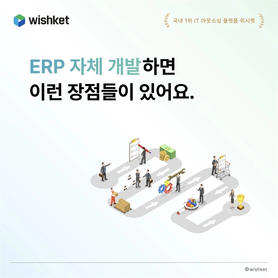 ERP-자체개발-장점들